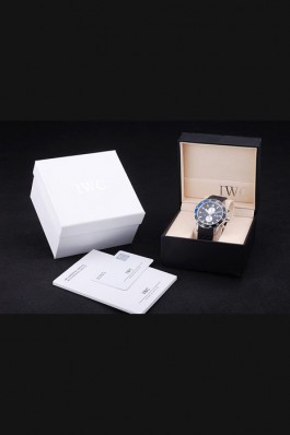 Watch Case Top Quality IWC 4172 Iwc Replica